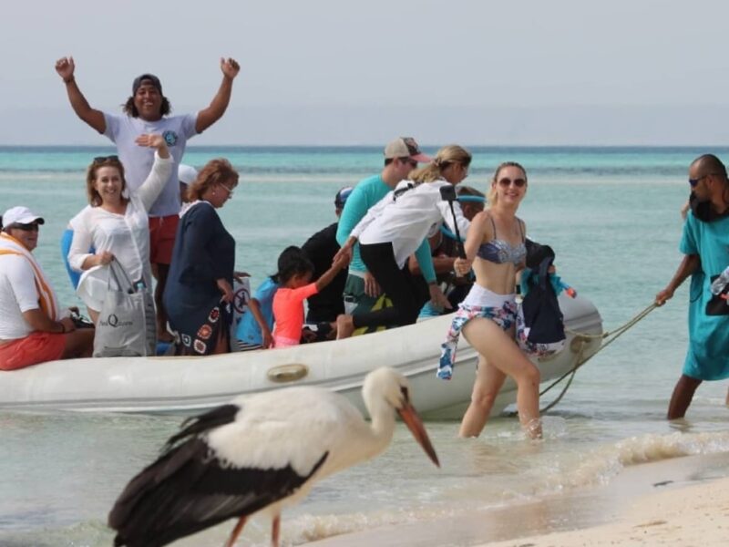 Happy kite safari guests arriving at an island beach by dinghy in the Red Sea