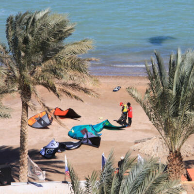 Kites on the beach between palm trees at Sultan Kite School, Hurghada